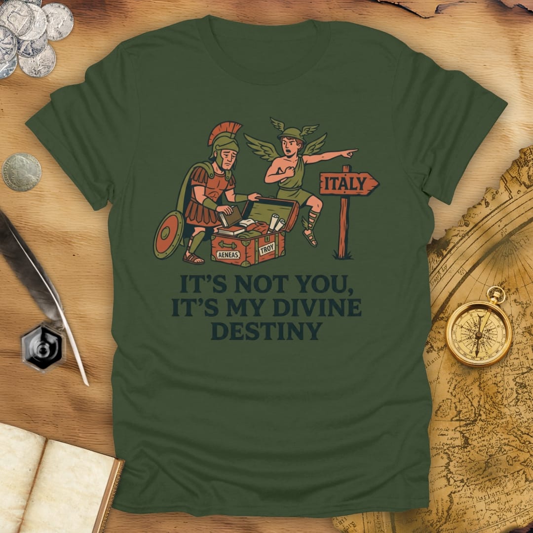 It's Not You Dido T-Shirt