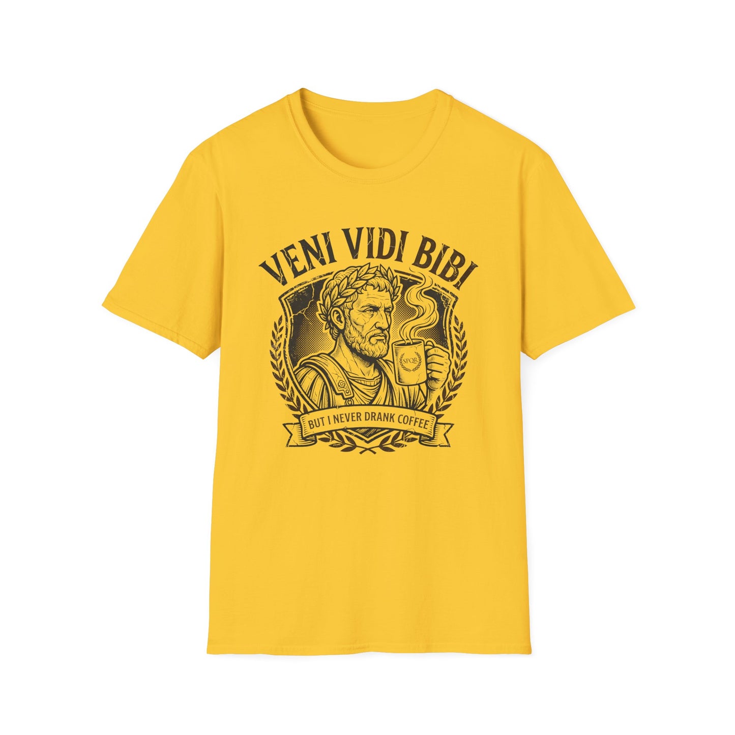 Veni Vidi Bibi T-Shirt