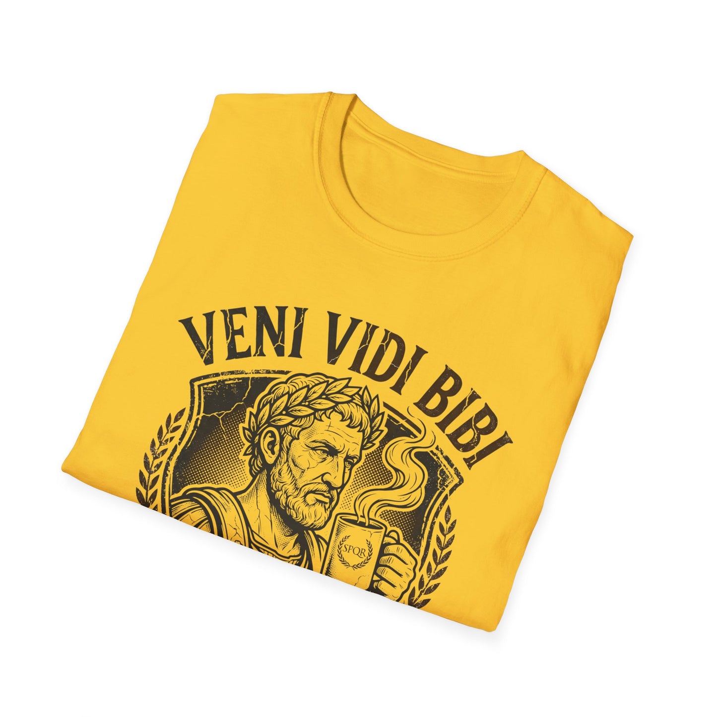 Veni Vidi Bibi T-Shirt