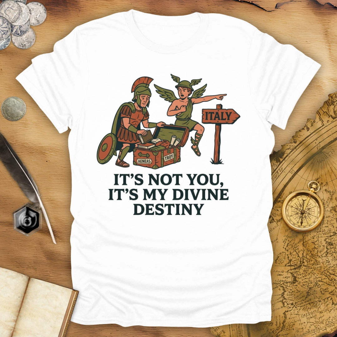 It's Not You Dido T-Shirt