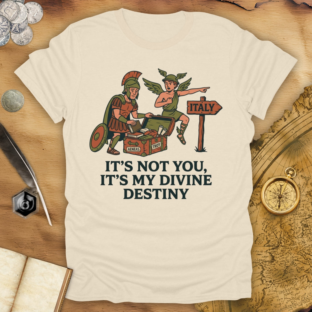 It's Not You Dido T-Shirt