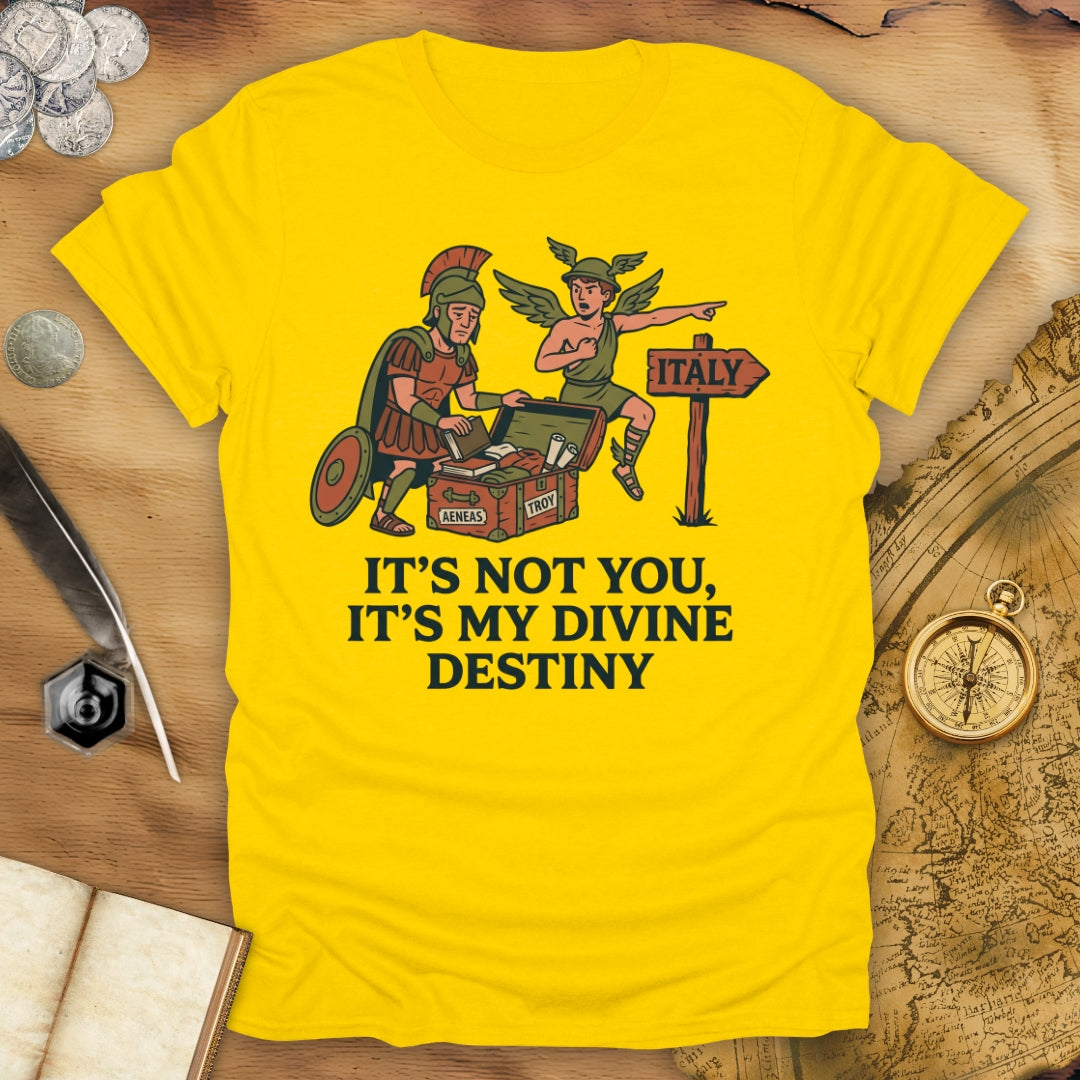 It's Not You Dido T-Shirt