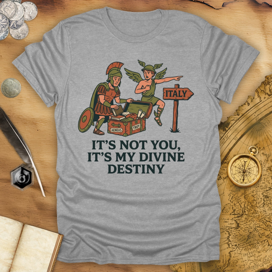 It's Not You Dido T-Shirt
