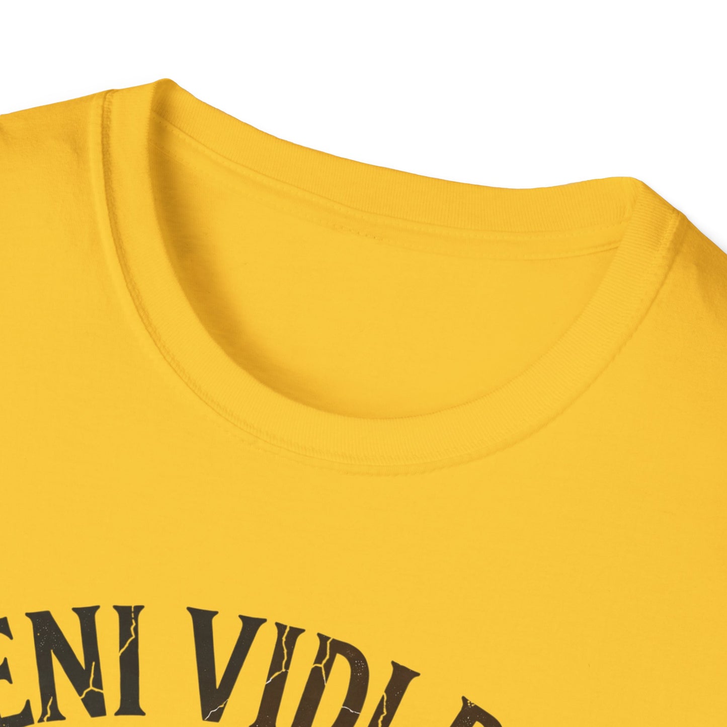 Veni Vidi Bibi T-Shirt