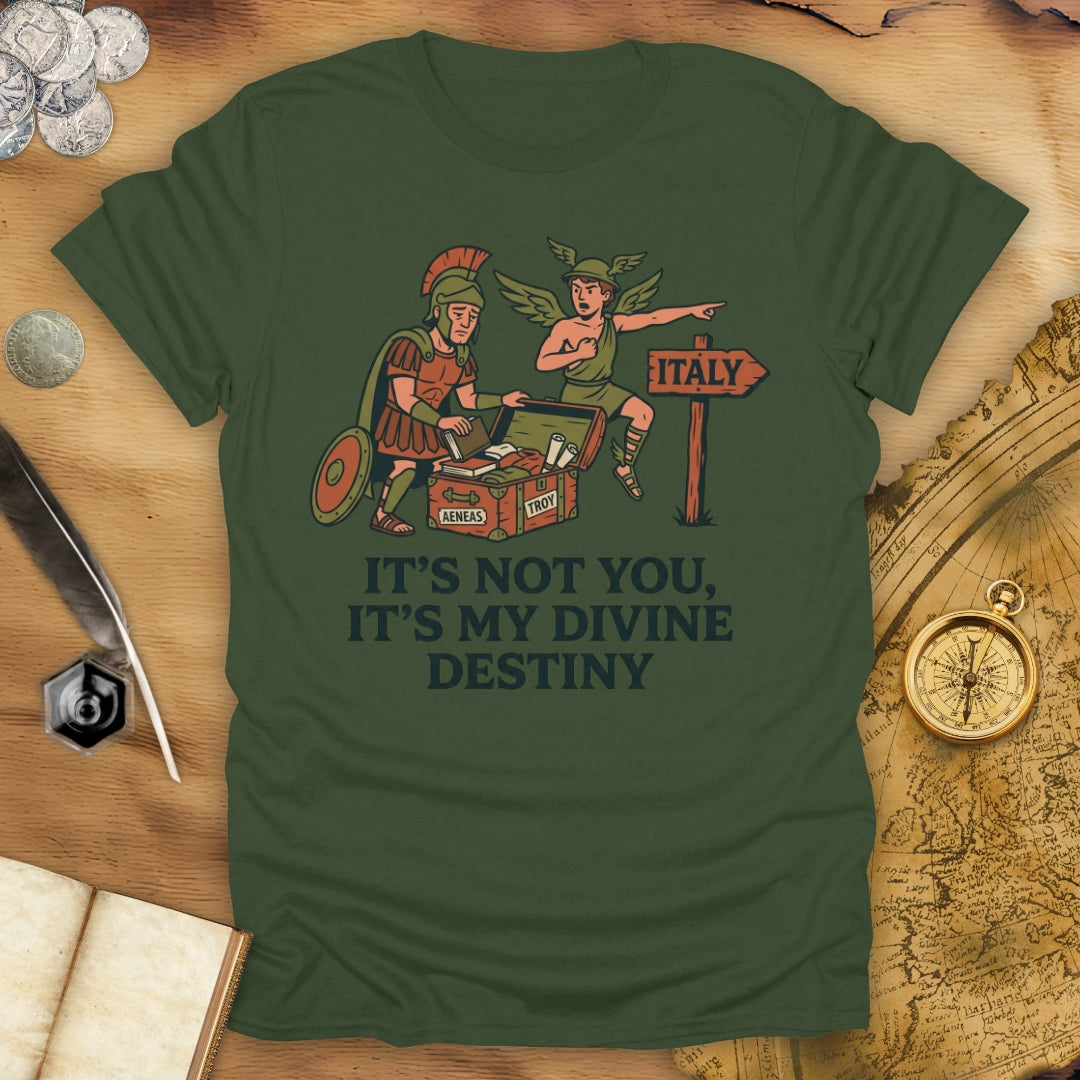 It's Not You Dido T-Shirt